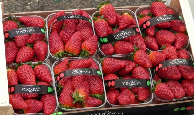 Dziś dzień targowy w Obornikach